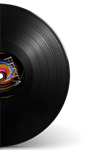 Rappresentazione su vinile del brano musicale di Spino - Festa