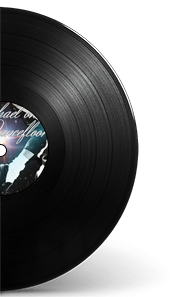 Rappresentazione su vinile del brano musicale di Valerio Vian - Michael on the dancefloor