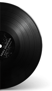 Rappresentazione su vinile del brano musicale di Erika Stevanato - Bianche Lenzuola
