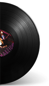 Rappresentazione su vinile dell'album raccolta di cover di Kaleido band musicale