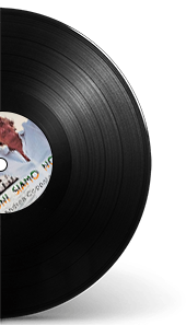 Rappresentazione su vinile del brano musicale di Andrea Coppola - Leoni siamo noi